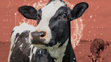 Жасанды интеллект тақырыбындағы иллюстрация