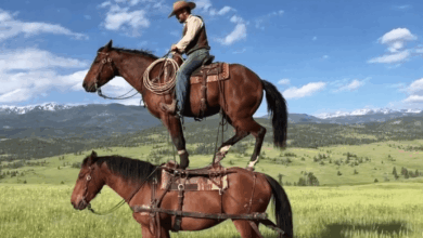 Жасанды интеллект тақырыбындағы иллюстрация