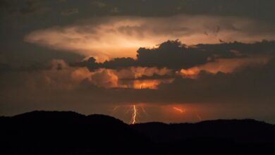 Жасанды интеллект тақырыбындағы иллюстрация