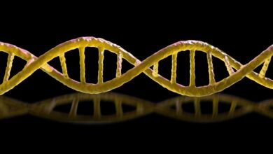 Жасанды интеллект тақырыбындағы иллюстрация