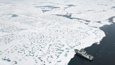Жасанды интеллект тақырыбындағы иллюстрация