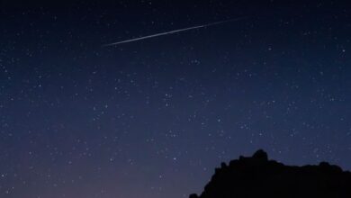 Жасанды интеллект тақырыбындағы иллюстрация
