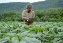 Жасанды интеллект тақырыбындағы иллюстрация