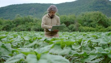 Жасанды интеллект тақырыбындағы иллюстрация