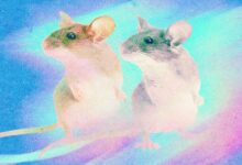 Жасанды интеллект тақырыбындағы иллюстрация