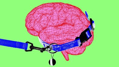 Жасанды интеллект тақырыбындағы иллюстрация