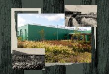 Жасанды интеллект тақырыбындағы иллюстрация